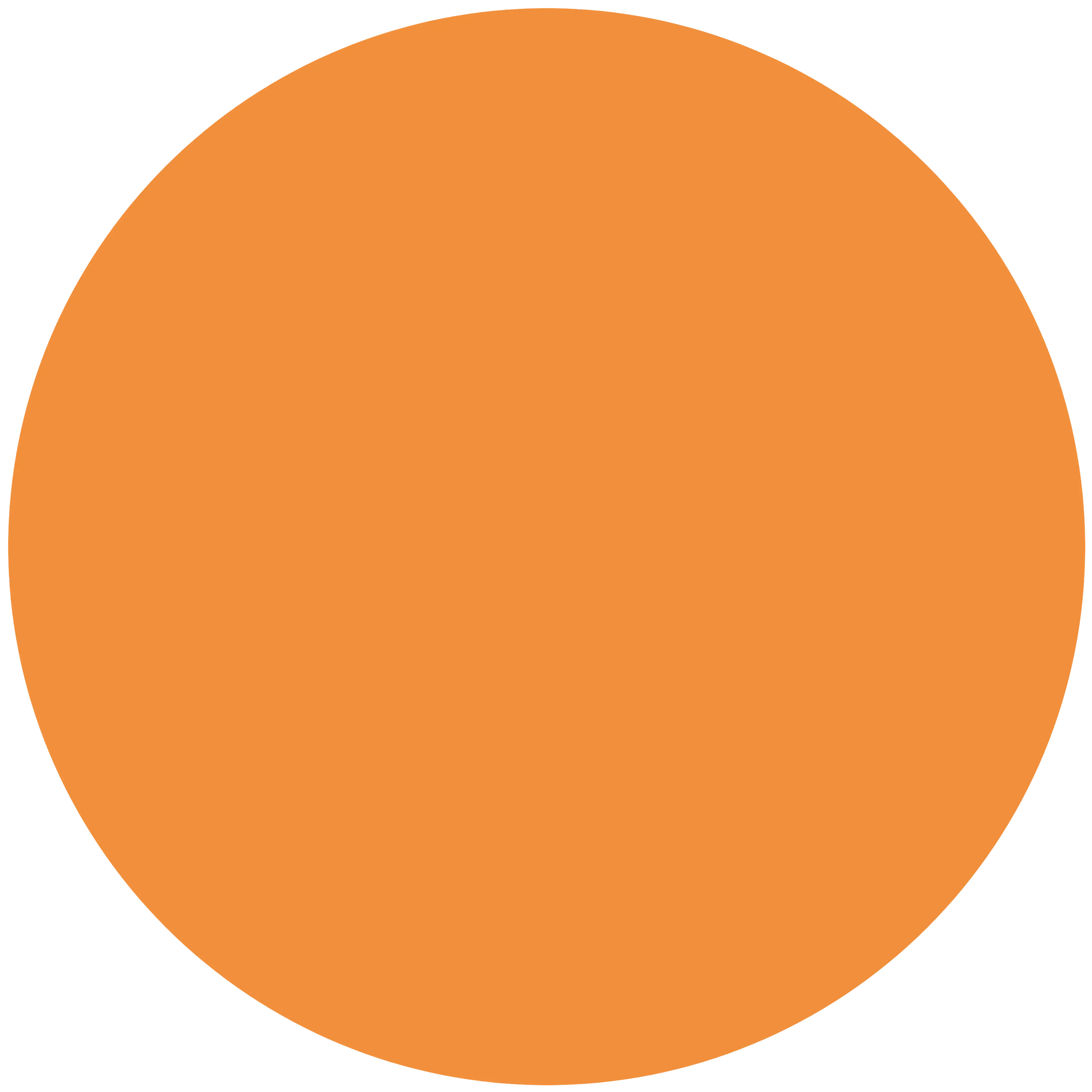 Orange Circle